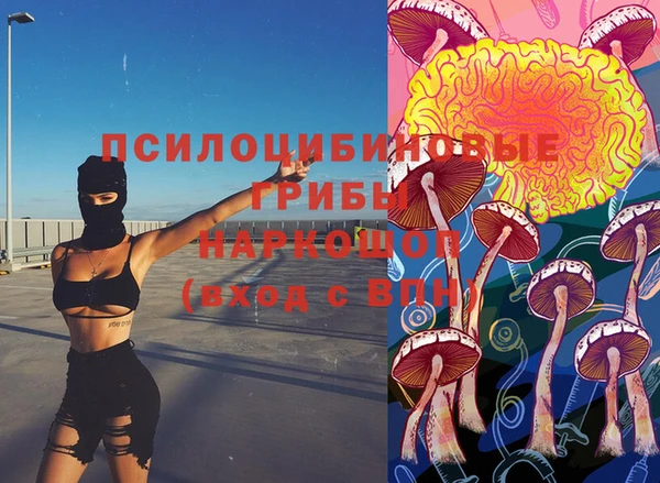 стафф Нефтекумск