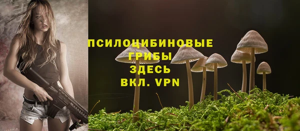 ешки Алзамай