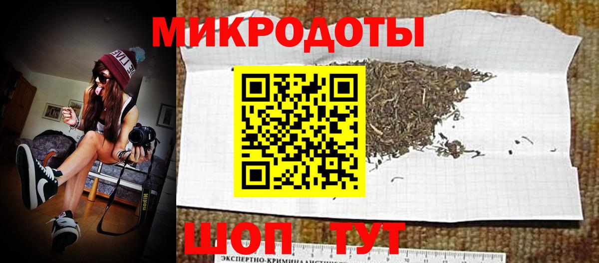 Галлюциногенные грибы Psilocybe Черкесск