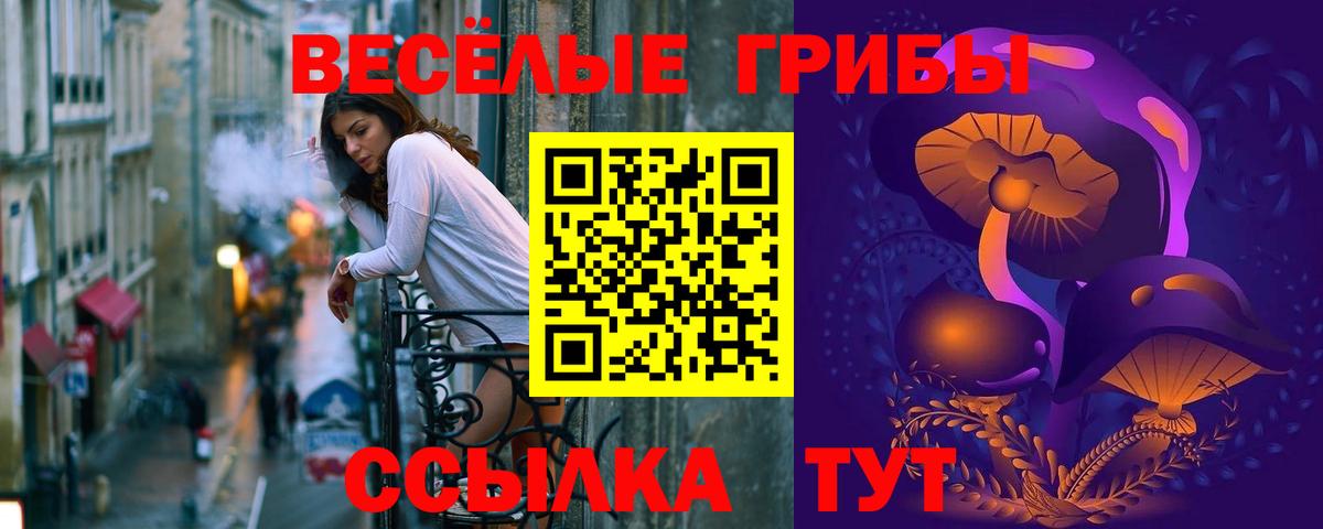 Галлюциногенные грибы мицелий  Вход с VPN  Черкесск 