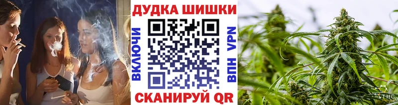 закладка Черкесск Шишки марихуана сатива